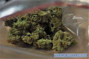 Foliowy woreczek z marihuaną