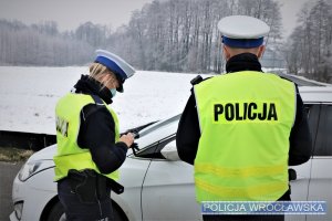 Policjanci kontrolujący pojazdy