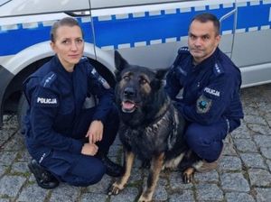 Wracając ze szkolenia wrocławscy przewodnicy psów służbowych interweniowali przy wypadku drogowym