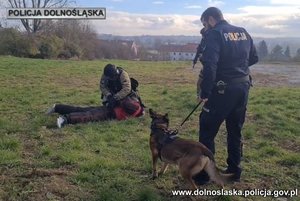 Wspólne szkolenie psów służbowych Dolnośląskiej Policji, Służby Więziennej i Straży Granicznej na terenie Zakładu Karnego w Strzelinie