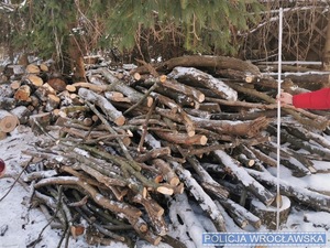 Funkcjonariusze z Komisariatu Policji w Sobótce odzyskali skradzione drewno