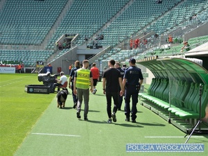 Zdjęcie murawy wrocławskiego stadionu i sprawdzających je policjantów w tym przewodnika z psem służbowym