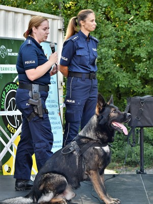 Policjantki w mundurach służbowych oraz pies służbowy