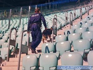 Policjant w mundurze z policyjnym psem służbowym sprawdza trybuny stadionu