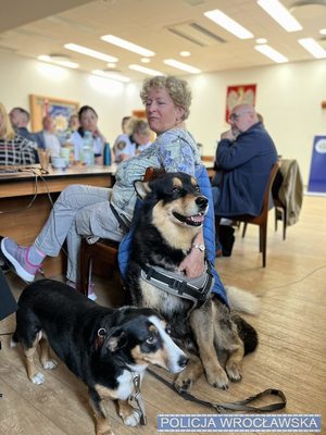 Rzecznik Praw Zwierząt z Urzędu Miasta Wrocław Barbara Borzymowska na zdjęciu widoczne dwa psy.