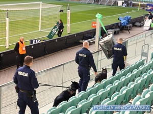 Przewodnicy z psami służbowymi w trakcie sprawdzania terenu stadionu miejskiego we Wrocławiu.