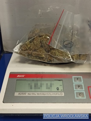 W mieszkaniu zatrzymanego na kradzieży sklepowej 25-latka policjanci znaleźli znaczną ilość marihuany oraz tabletki ecstasy!