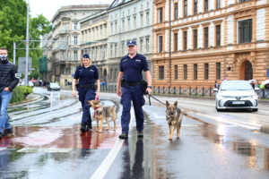 Spokojnie podczas 17. Wrocławskiego Marszu Równości