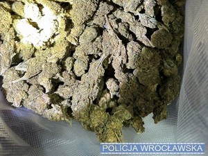 Policjanci zatrzymali 38 - letniego mężczyznę mieszkańca Wrocławia, u którego zabezpieczonych zostało blisko 10 kg narkotyków