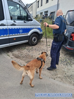 na zdjęciu widać policjanta z psem i trochę radiowozu
