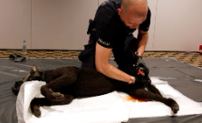 Projekt TROPIK-9 – Pierwsze szkolenie za nami