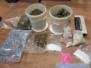 Dwóch mężczyzn tymczasowo aresztowanych, zabezpieczone 7 kg narkotyków oraz kilkadziesiąt tys. zł na poczet przyszłej kary - to efekt pracy policjantów z Wydziału dw. z Przestępczością Narkotykową