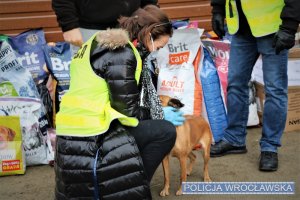 Zdjęcie przedstawiają psy oraz policjantów, którzy wyciągają z radiowozu typu furgon opakowania z karmą dla psów