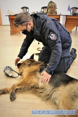 Zdjęcia przedstawiają policjanta oraz jego psa. Funkcjonariusz ubrany jest w kombinezon koloru czarnego. Towarzyszą mu policjanci w granatowym umundurowaniu.