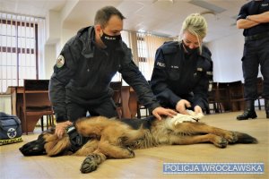 Zdjęcia przedstawiają policjanta oraz jego psa. Funkcjonariusz ubrany jest w kombinezon koloru czarnego. Towarzyszą mu policjanci w granatowym umundurowaniu.